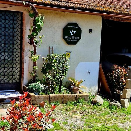 Wine House Bed & Breakfast Capannori Exterior photo