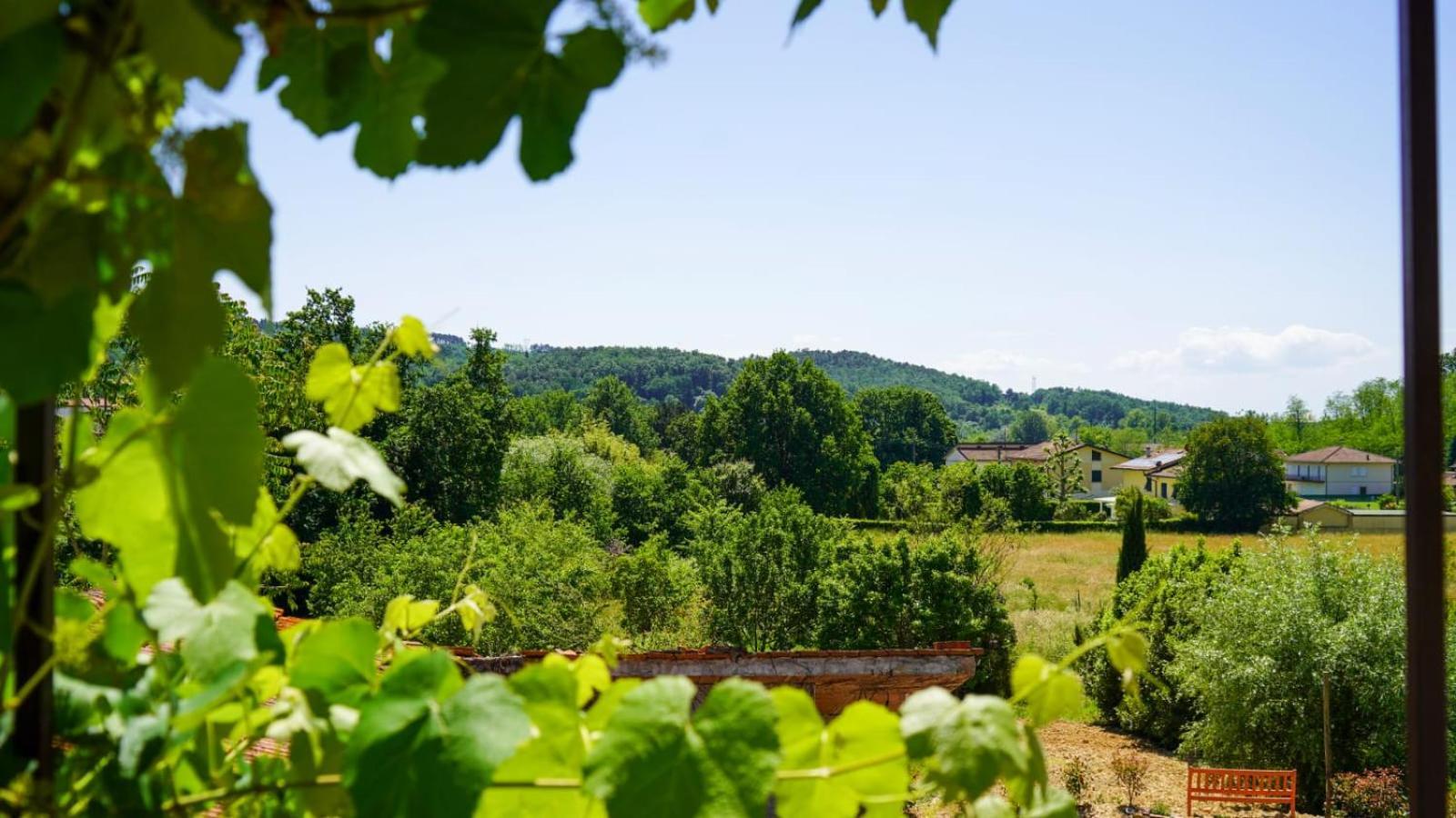 Wine House Bed & Breakfast Capannori Exterior photo