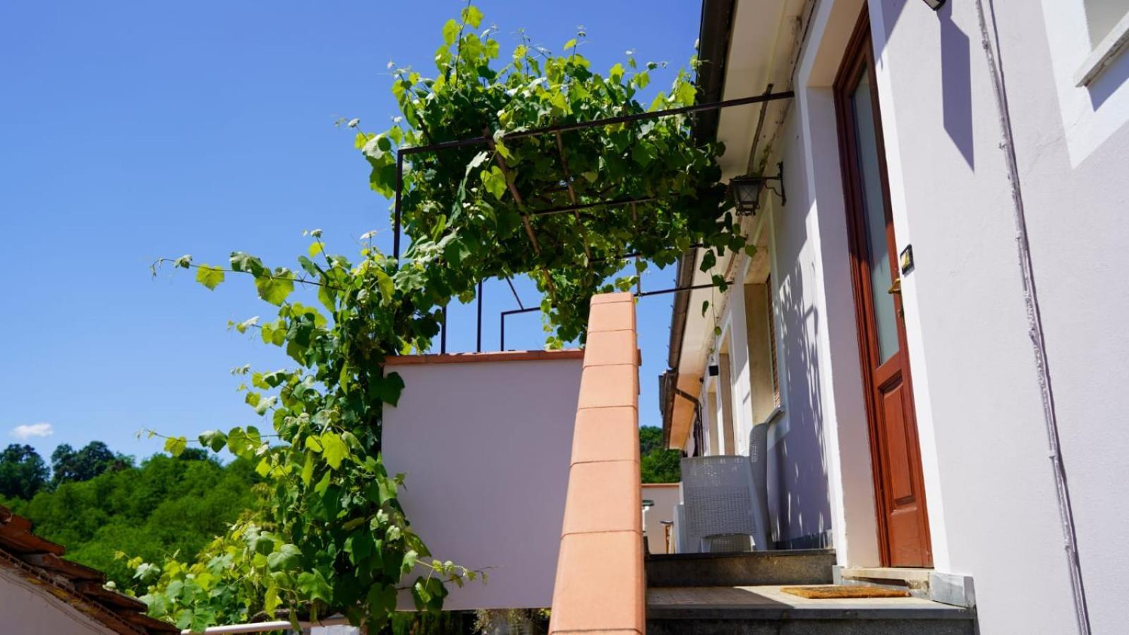 Wine House Bed & Breakfast Capannori Exterior photo